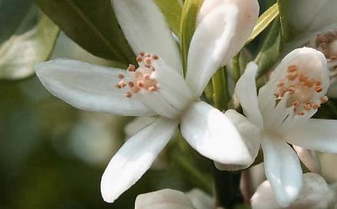 �а����g(sh��)�̰��������Ļ��䣨���x12ƪ��