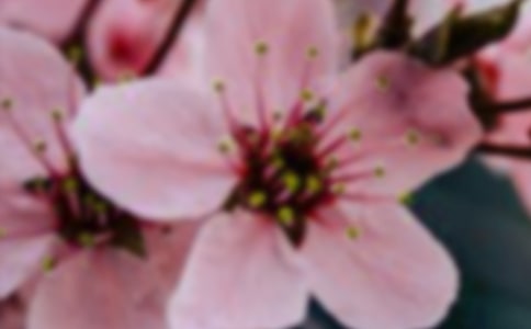 ���؂䣩�_��ӛ����̎�Ļ�������