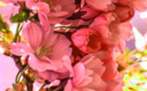 ٝ����(hu��)�_(k��i)������