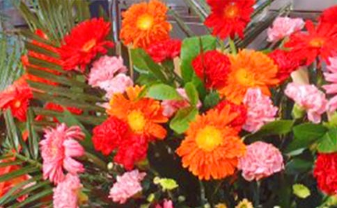 編織心情的花籃作文