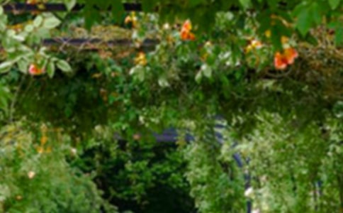 小區(qū)的花園作文