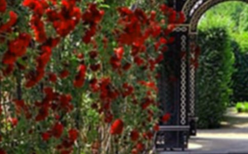 �λ��@������