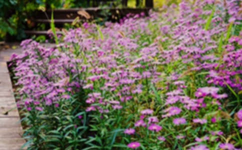 ����(j��ng)�䡿�����Ļ��@����15ƪ