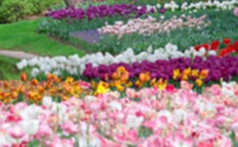 ���л��@����