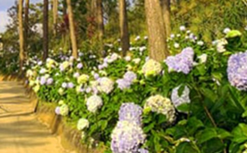 �������@���ă�(y��u)�x��3ƪ��