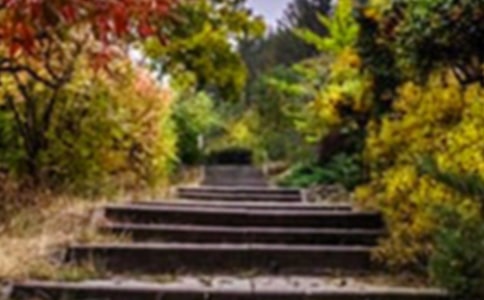 �󻨈@����