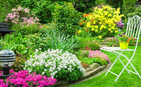 【經(jīng)典】游花園作文15篇