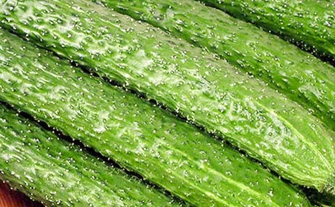 �S�ϵ���������