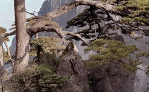 ��(y��u)���Sɽ��ӛ����