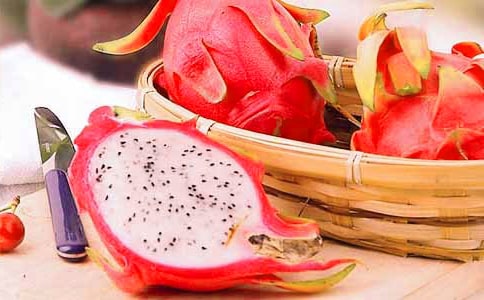 我喜歡火龍果作文