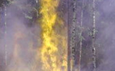 ׌�҂��h(yu��n)�x���(z��i)���ģ����x7ƪ��