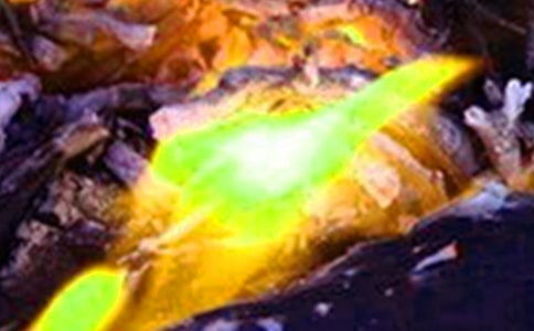 火災(zāi)心得體會(通用15篇)