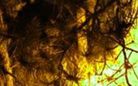 火災(zāi)隱患大排查大整治行動(dòng)工作總結(jié)