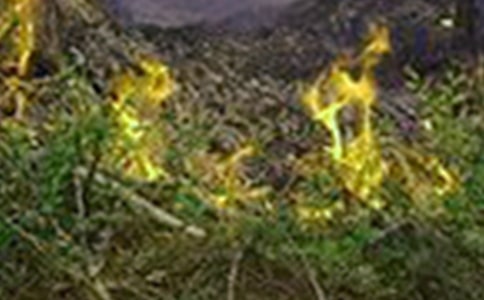 ��đ����ݾ����Y(ji��)�����x5ƪ��