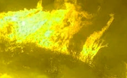 ���(z��i)��(y��ng)���ݾ����Y(ji��)�����x7ƪ��