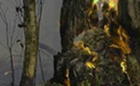 һ�λ��(z��i)����(x��)����