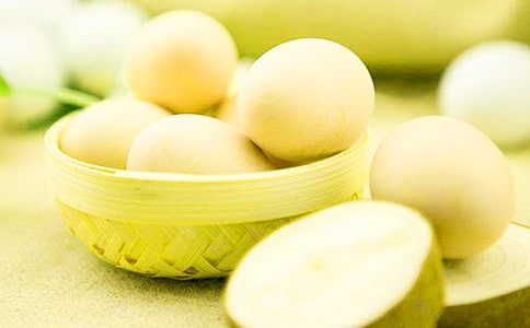 С��ƌW��Ȥ���u���̰�