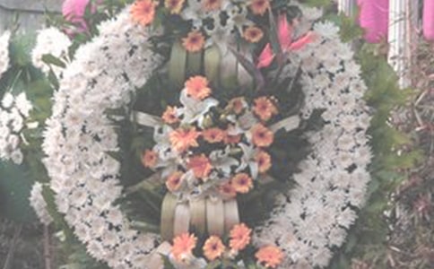 С�W������Ӣ�Ҽ��Z220��