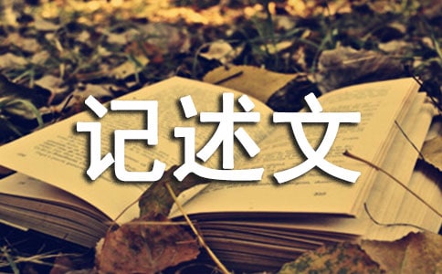 渴望記述文