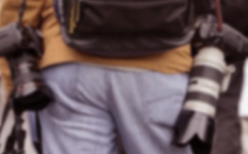 老鼠記者讀后感14篇