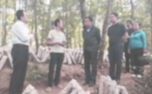 �T���`�o(j��)�zӑ