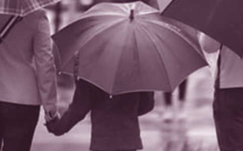 ����ͥ��������ͥ�����е��߷N����