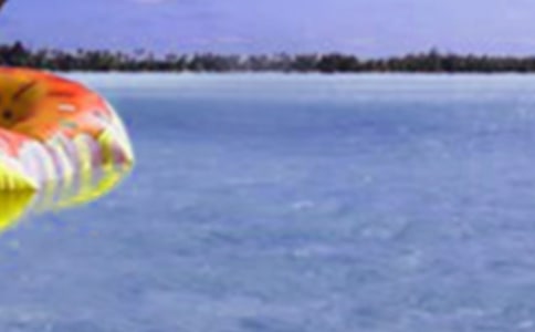 �o�ĵļ�������