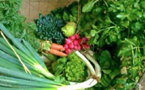 �P(gu��n)�ڽ����������Դ�ȫ