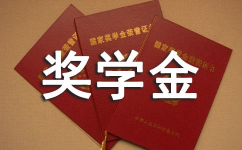 小學(xué)生獎學(xué)金申請書(精選13篇)