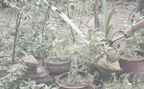 ����ˮ����ֱ�ӝ�����