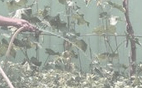 �������D��Ԓ��ȫ��15ƪ��