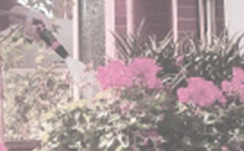 �������D��Ԓ���\[33ƪ]