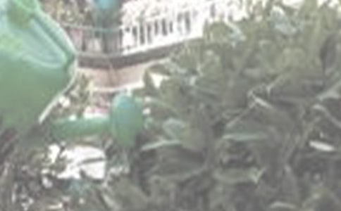 �P(gu��n)�ڝ���������