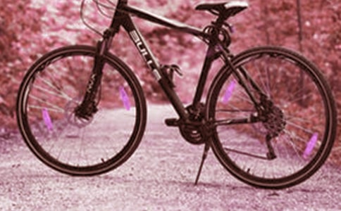 騎腳踏車(chē)作文