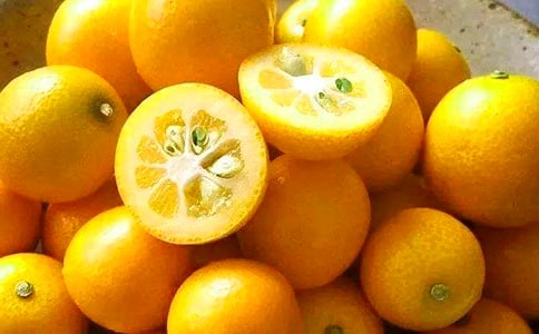 金桔樹掉果掉葉子怎么辦