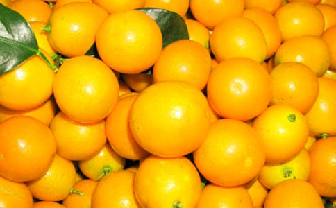 �������ܳԽ�ۆ��������ڳԽ�۵�����