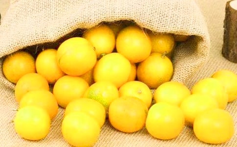 ���۽�۲蹦Ч��������ʲô