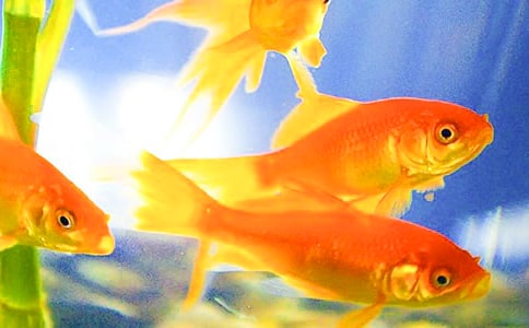 ���~�^����ӛ500�֣����x8ƪ��