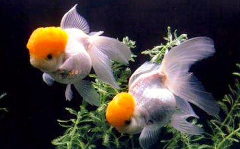 ���~(y��)��������