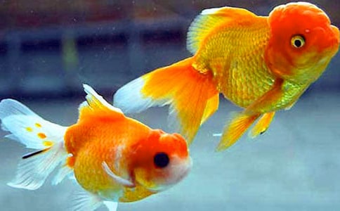 ����(y��u)�㡿С���~����15ƪ