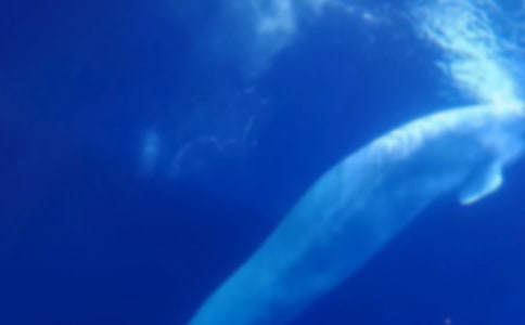 С�W(xu��)�茑��(d��ng)�������400��_�L�~