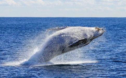 С�����c���L�~