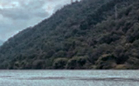 �茑��ɫ�����ă�(y��u)�x(5ƪ)