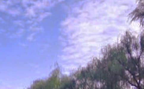 寫景色的作文【必備5篇】