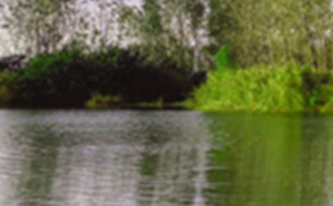 ����ɫ������3ƪ