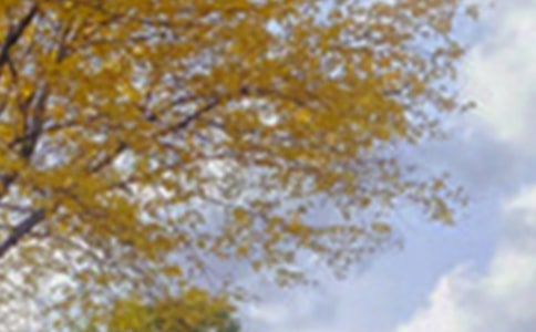 �茑��ɫ����3ƪ����(y��u)�㣩