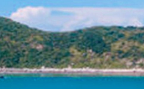 (ͨ��)�茑��ɫ������