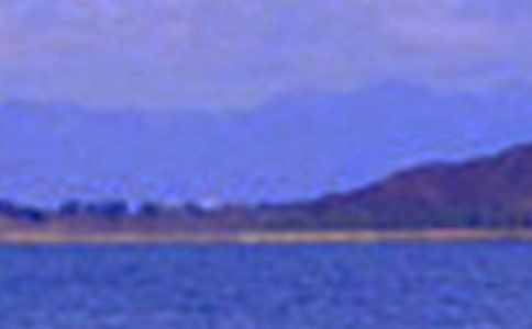 �茑ɭ�־�ɫ������