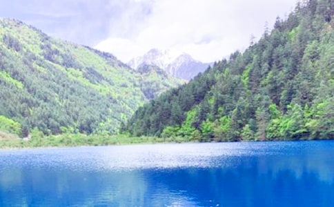 �ξ�կ������