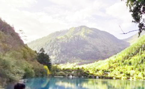 ����կ�ϡ��̺�˼